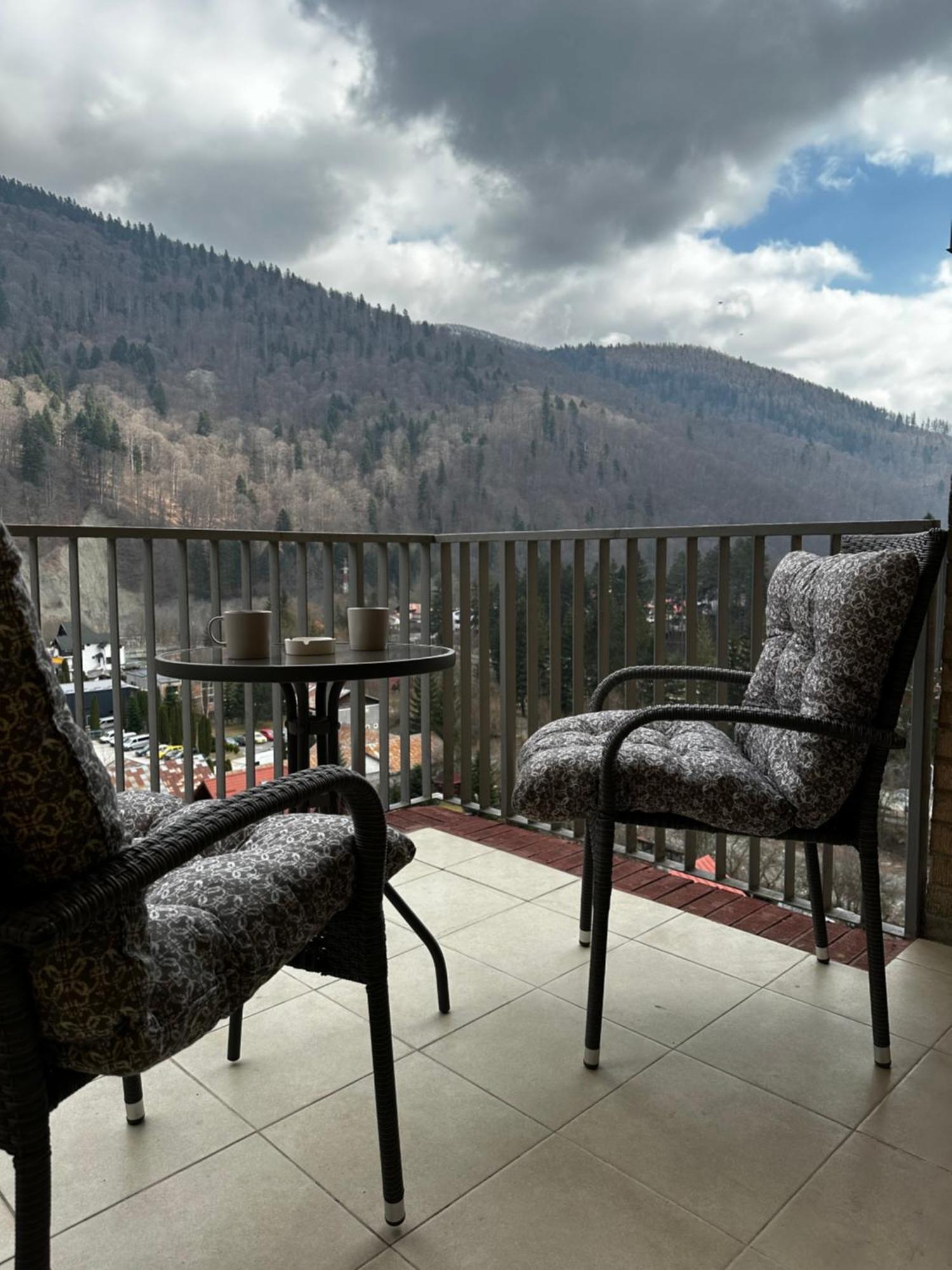 Colette Studio Belleview Sinaia Exteriör bild